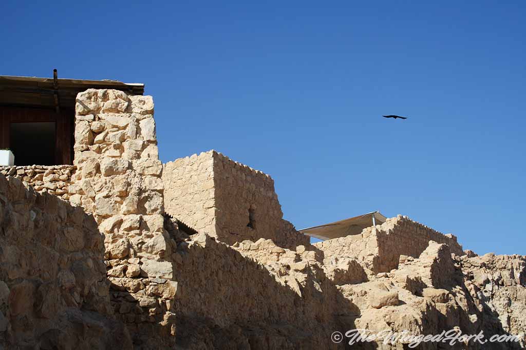 One of the walls at the top of Masada.