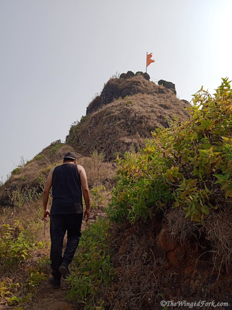 The back of a person walking up a steep path to the top of the fort.