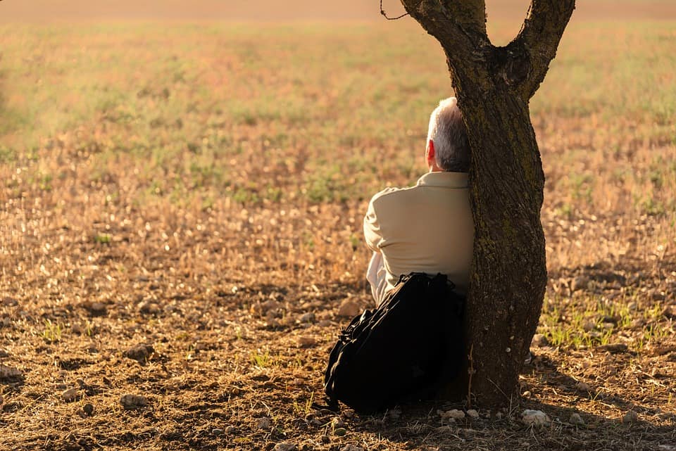 Man resting in front of a tree - image sourced from Pixabay.