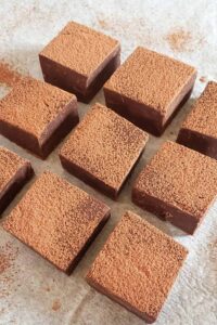chocolate fudge squares.
