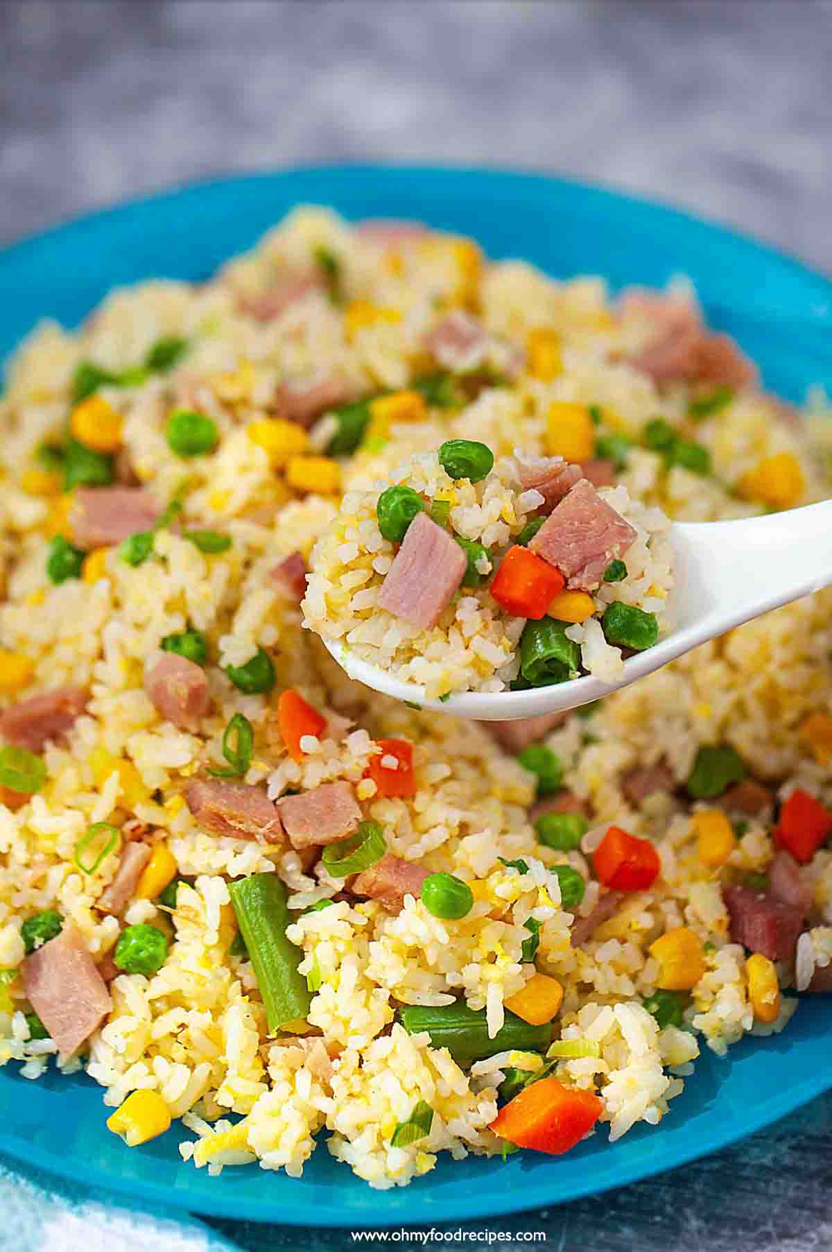 What to do with leftover Rice - Over 70 Recipes