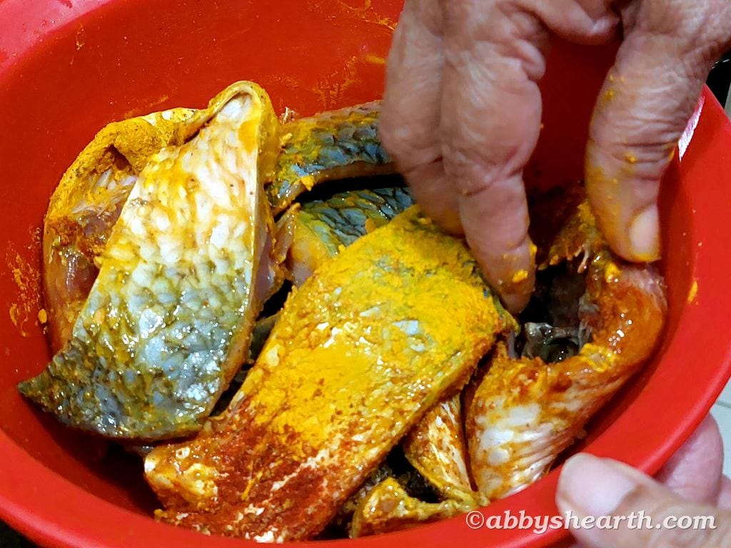 Hand coating the fish with turmeric powder, pepper, red chili powder and salt.