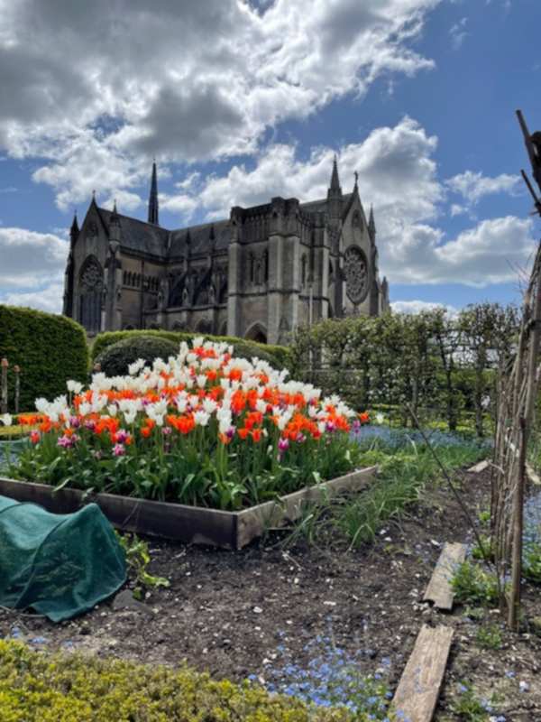 Orange and white tulips on the right of Arundel Castle.