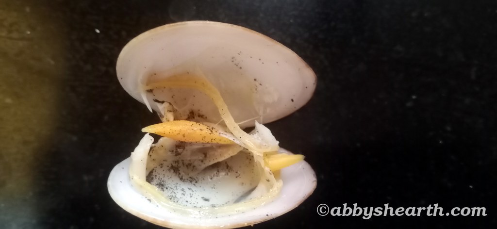 The inside of a cooked cockle.