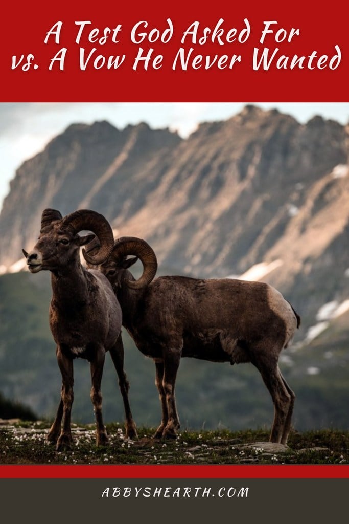 Two wild goats on a mountain depicting Abraham's sacrifice.