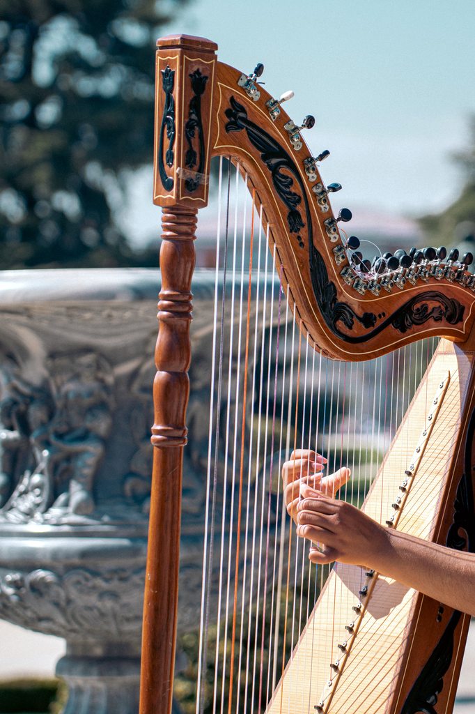 Close-up of a person playing a wooden harp outdoors with a fountain in the background.