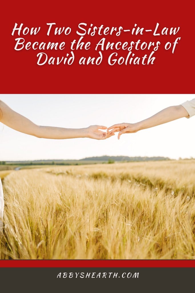 Ruth and Orpah reaching hands in a wheat field, symbolizing connection that they're letting go of.