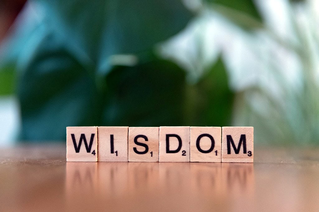 Scrabble tiles spelling wisdom.
