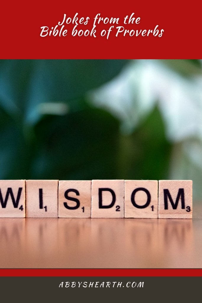 Wooden blocks spelling WISDOM with a blurred green background for Proverbs jokes.