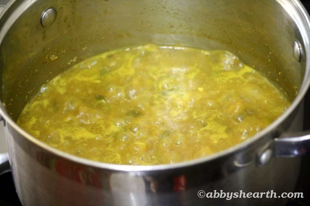 Khujit curry left to boil.