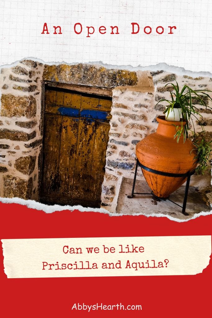 Old rustic door with potted plant, symbolizing open doors and meeting places.